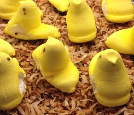 peeps
