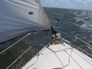 Joyously Moving Forward 2