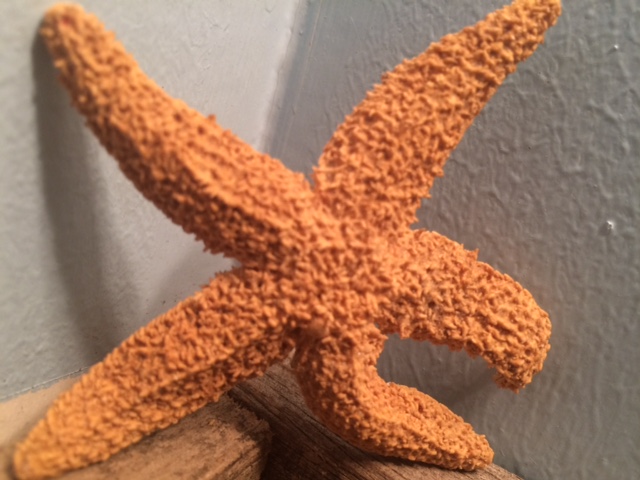 starfish
