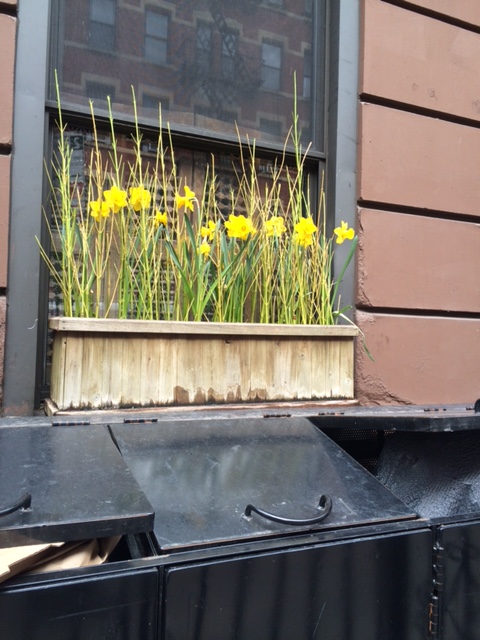 693D0D77-18FE-4109-B2D4-8061875DCFDA