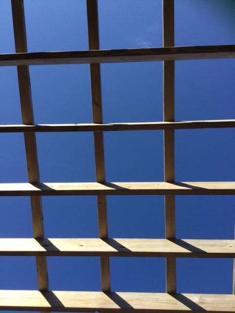 A8BC4417-2FDD-4257-9625-5A0A2F29C9AB