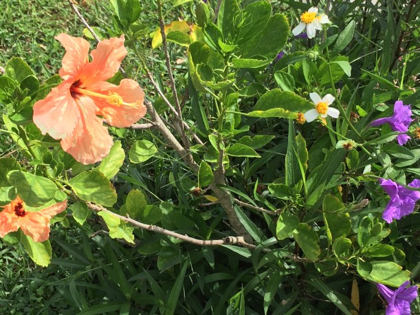 1BC31CCB-6534-4676-8181-92986866196B